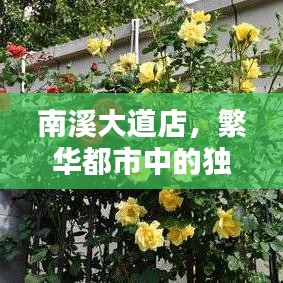 南溪大道店，都市独特商业地标