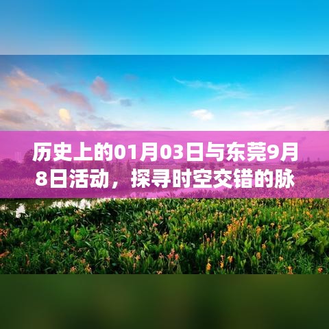 检测设备 第45页