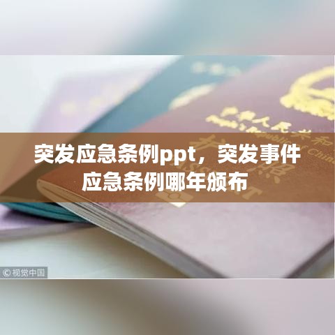 突发应急条例ppt，突发事件应急条例哪年颁布 