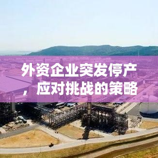 外资企业突发停产，应对挑战的策略与启示