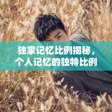 联系我们 第42页
