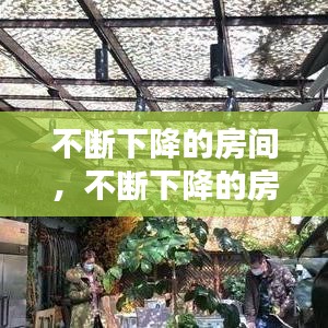 因陋就简 第3页