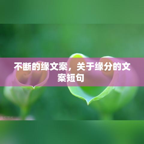 不断的缘文案，关于缘分的文案短句 