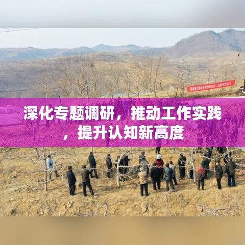 深化专题调研，推动工作实践，提升认知新高度