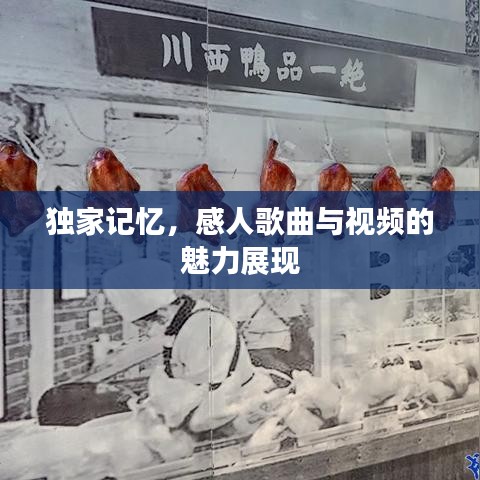 独家记忆，感人歌曲与视频的魅力展现