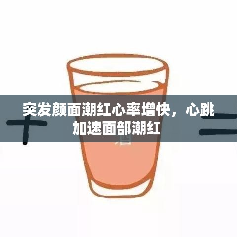 产品中心 第42页