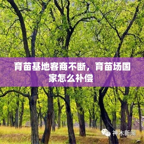育苗基地客商不断，育苗场国家怎么补偿 