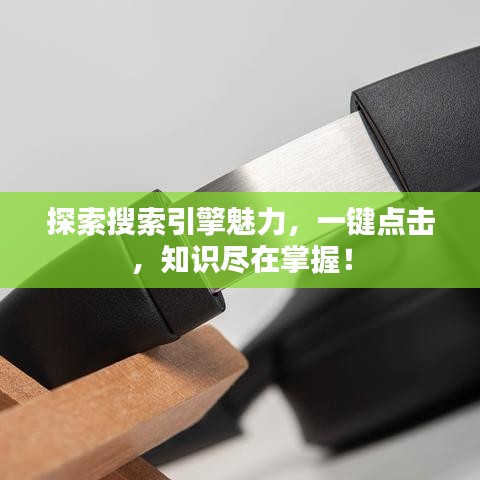 探索搜索引擎魅力，一键点击，知识尽在掌握！