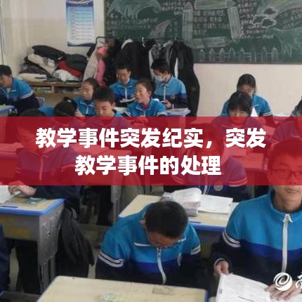 采椽不斫 第2页