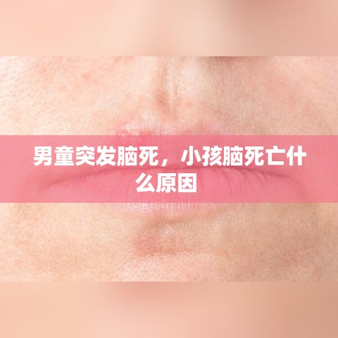 鸷鸟不群 第2页