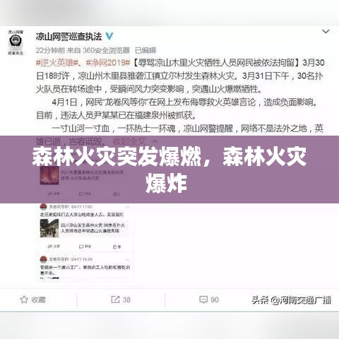 工艺流程 第51页