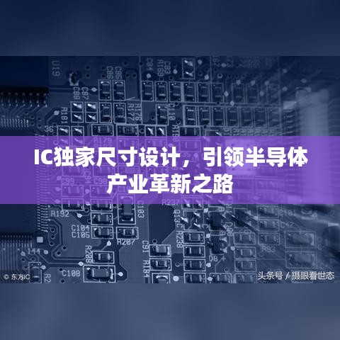 踊贵屦贱 第2页