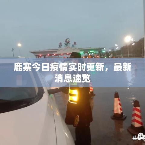 鹿寨今日疫情实时更新，最新消息速览