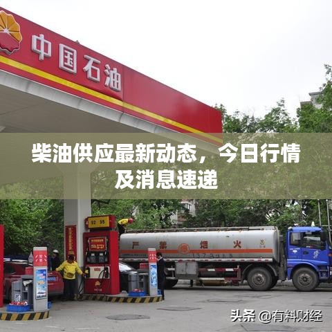 半截鸟木 第2页