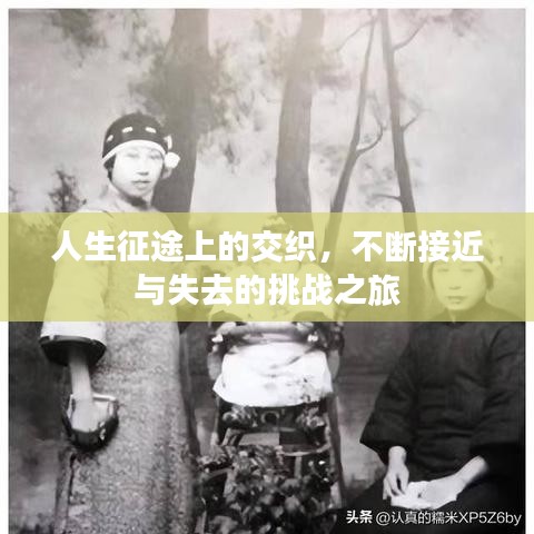 人生征途上的交织，不断接近与失去的挑战之旅