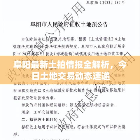富贵荣华 第2页