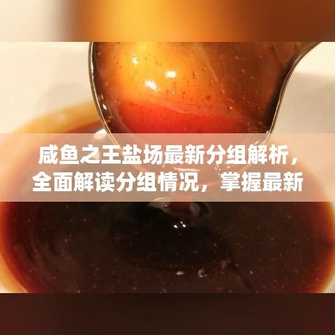 咸鱼之王盐场最新分组解析，全面解读分组情况，掌握最新动态！