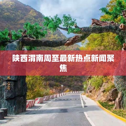 陕西渭南周至最新热点新闻聚焦