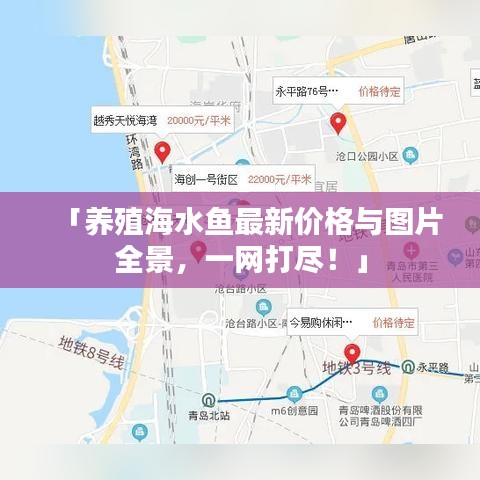 「养殖海水鱼最新价格与图片全景，一网打尽！」