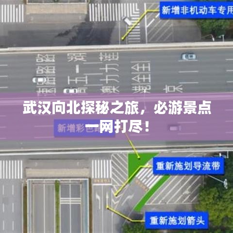 纲挈目张 第2页