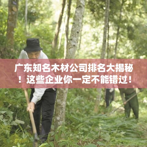 广东知名木材公司排名大揭秘！这些企业你一定不能错过！