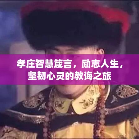 联系我们 第34页