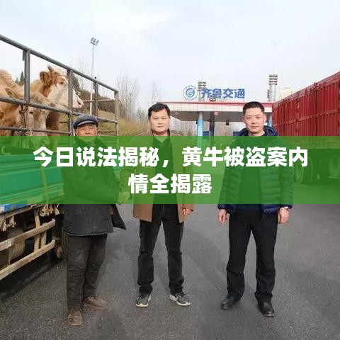 夫荣妻贵 第2页