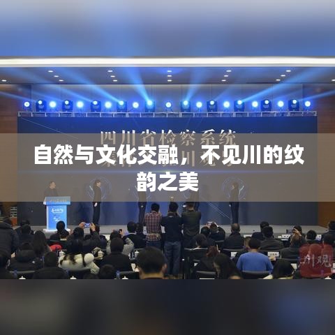 笔走如飞 第2页