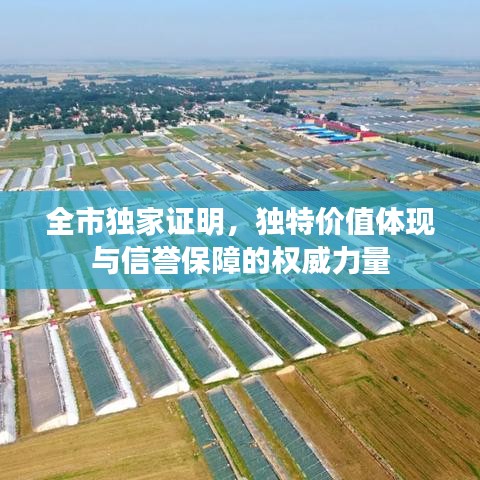 全市独家证明，独特价值体现与信誉保障的权威力量