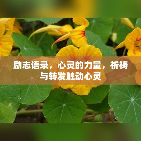 励志语录，心灵的力量，祈祷与转发触动心灵