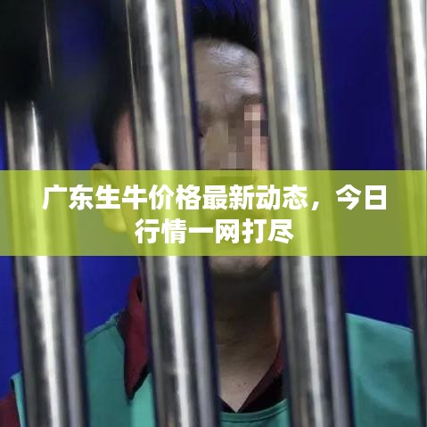 虚张声势 第2页