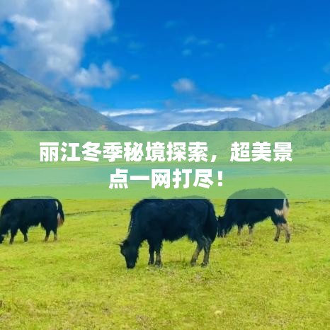 权贵显要 第2页