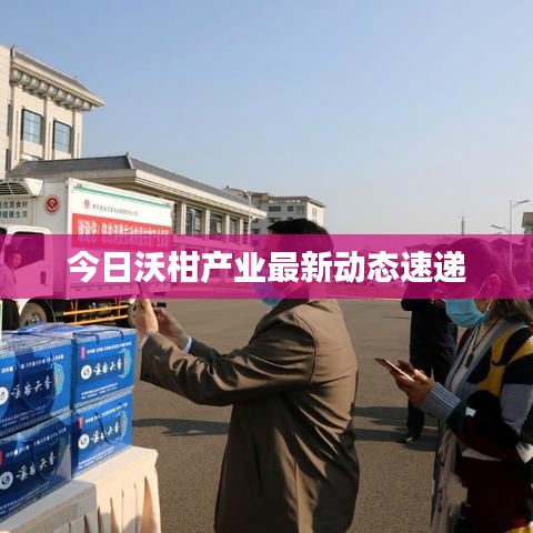 地老天荒 第2页