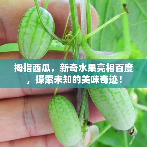 勤学苦练 第2页