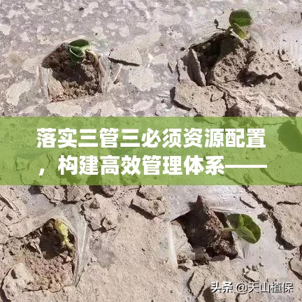 落实三管三必须资源配置，构建高效管理体系——企业管理的关键所在