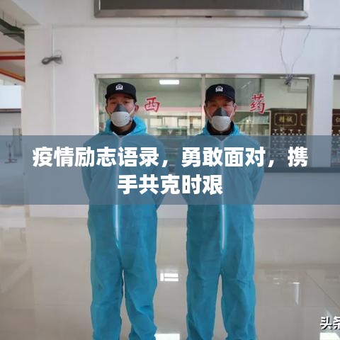 囫囵吞枣 第2页