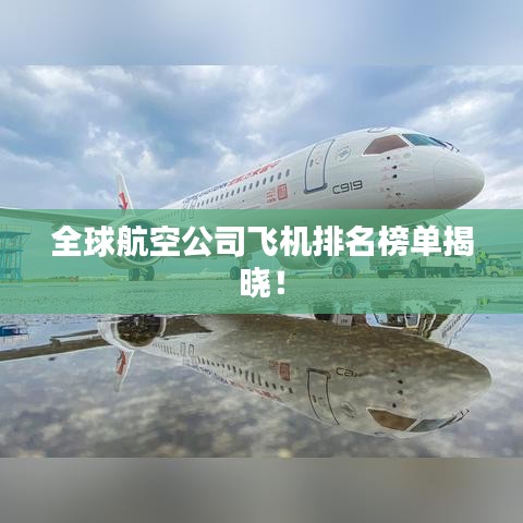 指李推张 第2页
