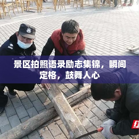 飞鸟依人 第2页