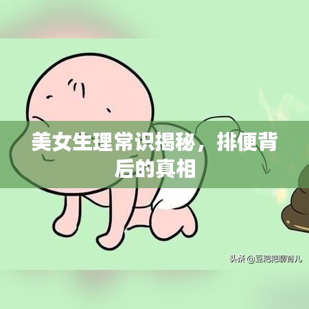 美女生理常识揭秘，排便背后的真相