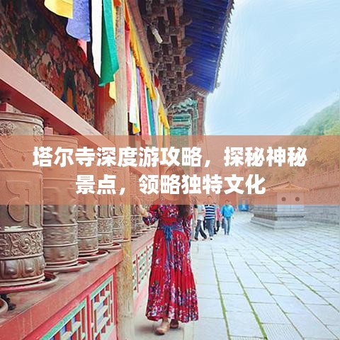 塔尔寺深度游攻略，探秘神秘景点，领略独特文化
