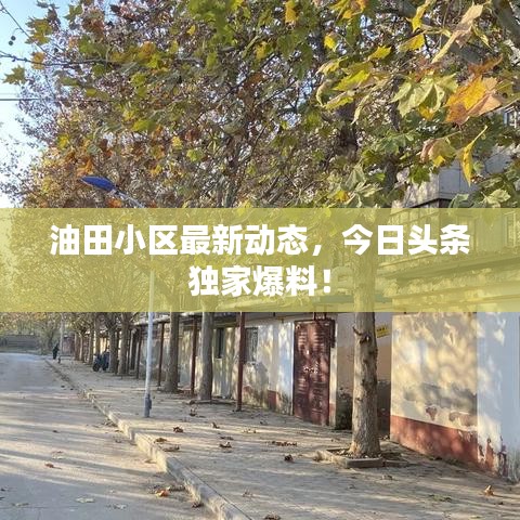 就地取材 第2页