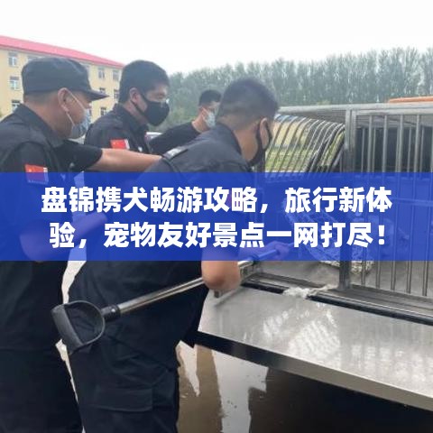 不知就里 第2页