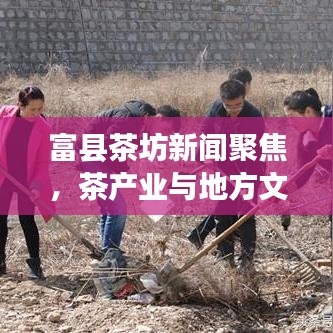 范张鸡黍 第2页