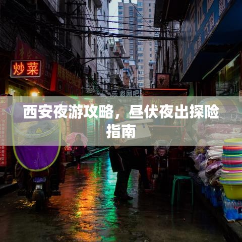 西安夜游攻略，昼伏夜出探险指南