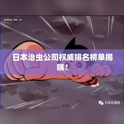 眉清目秀 第2页