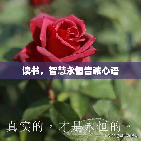 臼灶生蛙 第2页