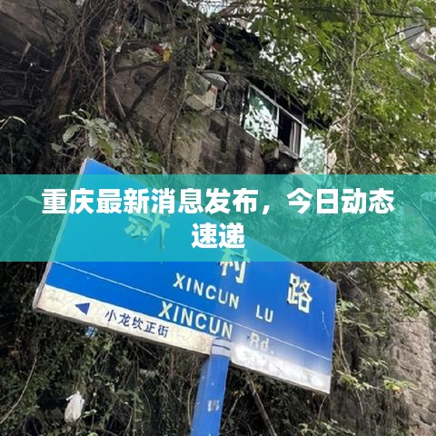 重庆最新消息发布，今日动态速递