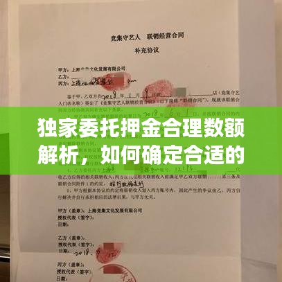 花香鸟语 第2页