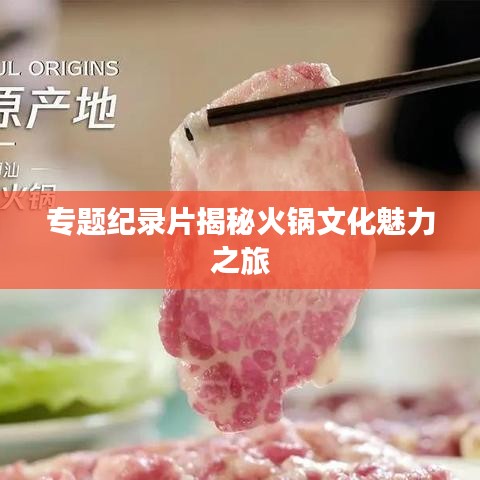 只争朝夕 第2页