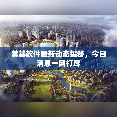 蓉基软件最新动态揭秘，今日消息一网打尽